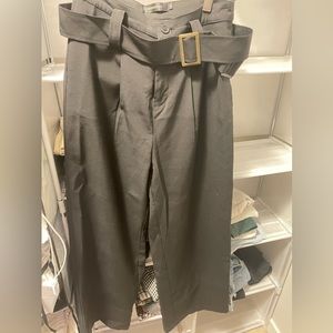 Pants with belt